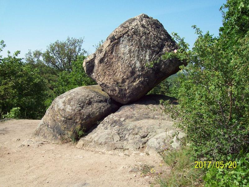 Picture 169.jpg